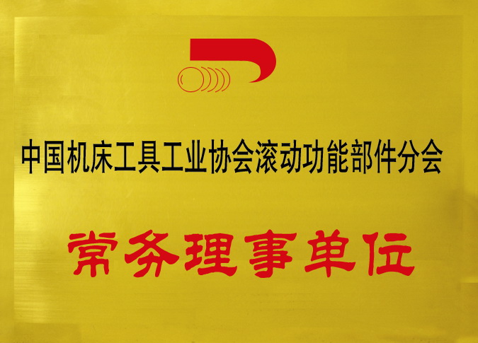 2-1-中國機(jī)床工具工業(yè)協(xié)會(huì)滾動(dòng)功能部件分會(huì)常務(wù)理事單位.jpg