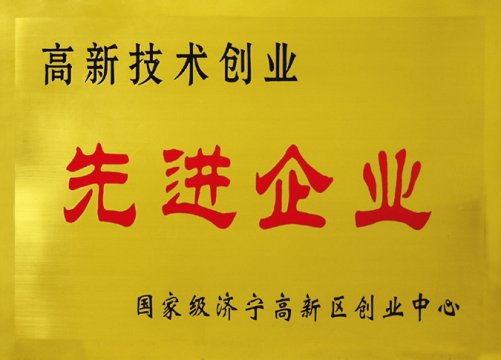 高新技術(shù)創(chuàng)業(yè)先進企業(yè)